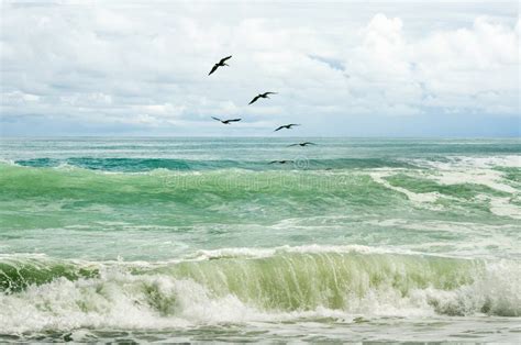 Birds Flying Over The Ocean Waves On A Beautiful Day Stock Photo