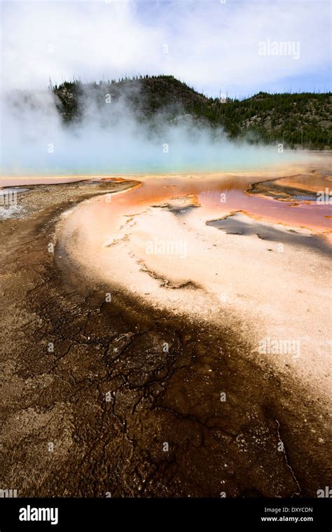 Orange Microbial Mat Hi Res Stock Photography And Images Alamy