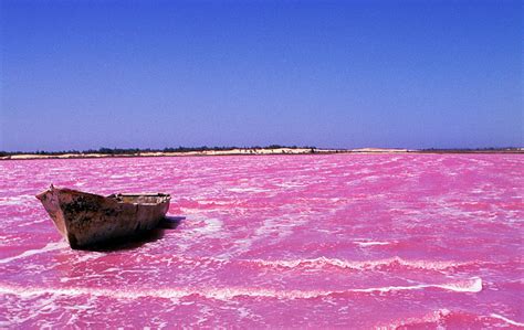 5 Lieux Magnifiques à Visiter Au Sénégal Pendant Les Vacances