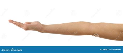 Outstretched Arm Stock Photo Image Of Concept Reaching