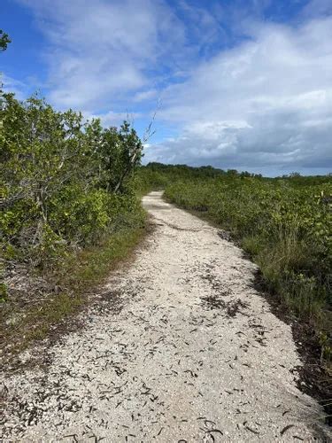 Best Hikes and Trails in Dagny Johnson Key Largo Hammock Botanical ...