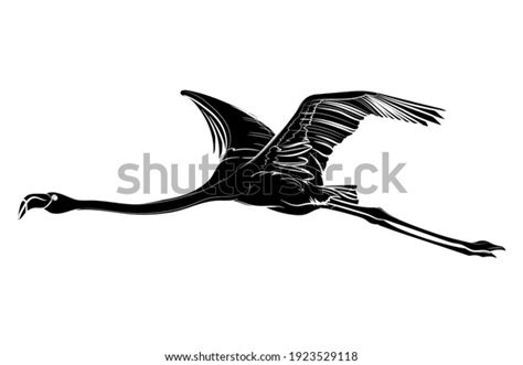 Black Silhouette Flying Flamingo On White Stock Vector (Royalty Free ...