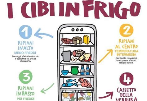 Consigli Per Organizzare E Conservare Il Cibo In Freezer Fatto In