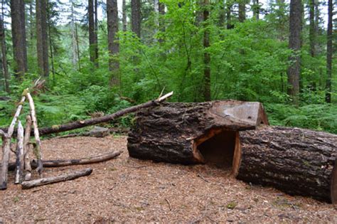 Construction Of Silver Falls Nature Play Area Is Almost Complete — Greenworks People Nature