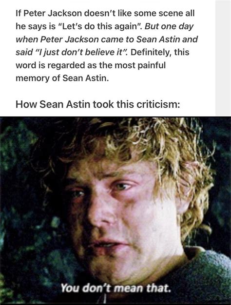 Most believable scene in lotr? The one where sean astin cried over ...