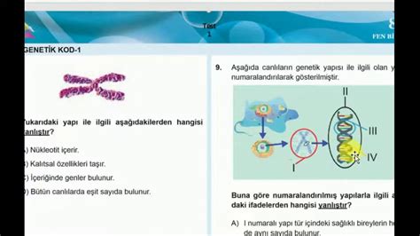 8 Sınıf Kazanım Testi 1 Dna Ve Genetik Kod 1 Ckmkakademi Youtube