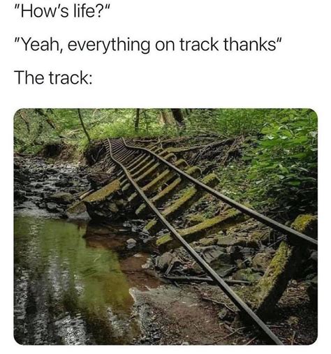 Hows Life Yeah Everything On Track Thanks The Track Funny