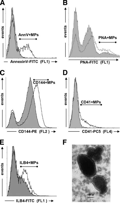 Representative Traces Of Flow Cytometry Analysis Of Annexin V