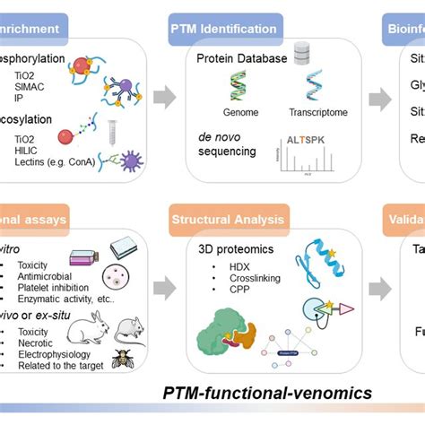 Arthropod Venom Proteins Containing Posttranslational Modification