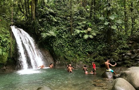 Guadeloupe Nationalpark / Guadeloupe National Park (Basse-Terre ...