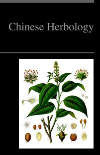 PediaPress – Wikipedia Book “Chinese Herbology”