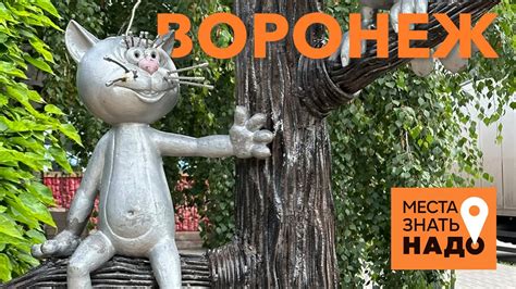 02/24. ВОРОНЕЖ, НЕЛЖА, БОБРОВЫЙ ГОРОДОК: МЕСТА ЗНАТЬ НАДО! - YouTube
