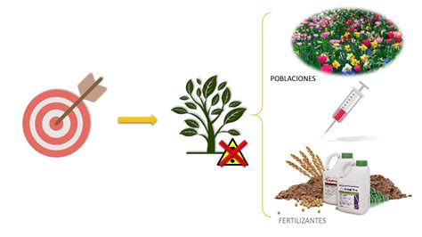 T Cnicas De Conservaci N Vegetal Ex Situ Youtube