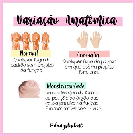 O Que Varia O Anatomica Braincp