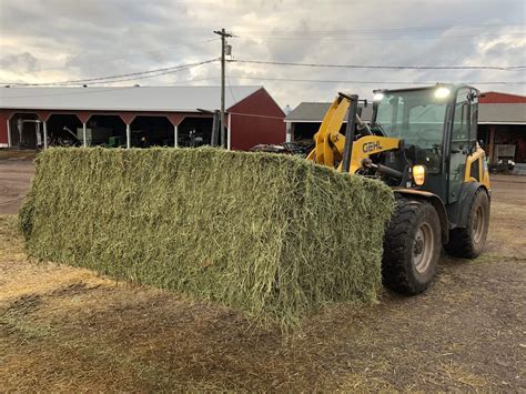 Premium Large Square Western Alfalfa Pleasant View Farms Inc