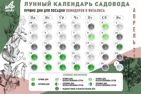 Лучшие дни для посадки томатов по Лунному календарю в апреле ...