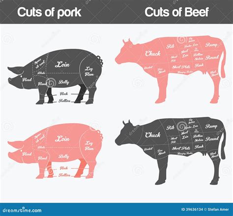 Pork Cuts. Swine Butchery Diagram. Barbecue,. Pork Meat Cuts. Vector ...