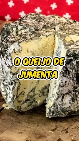 O Queijo Mais Caro Do Mundo Tem Como Mat Ria Prima O Leite De Jumenta