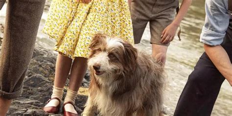 Timmy The Dog Famous Five