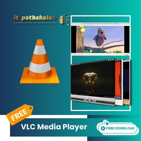 Vlc Media Player