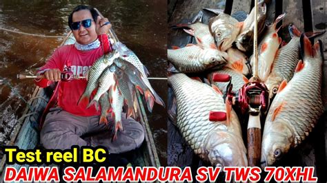 Test Reel Bc Daiwa Salamandura Sv Tw Xhl Vs Ikan Hampala Sebarau