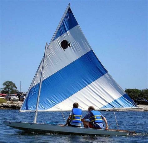 New Sunfish Sailboat Sail White Blue Sailing Boat Cool Boats