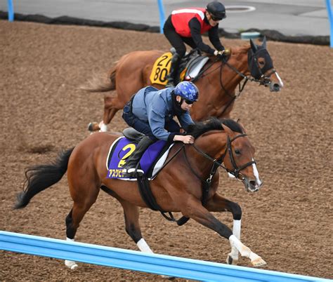 【天皇賞】アスクビクターモア加速 新コンビ横山武も絶賛 競馬ニュース Netkeiba