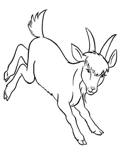 Desenhos De Cabras Para Colorir Desenhos Para Colorir Desenhos Para