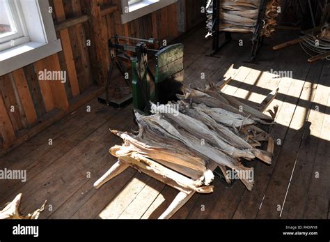 Historic Fish Cannery Stock Fish Stock Photo Alamy