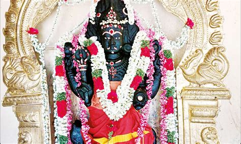 பூம்புகார் சாயாவனேஸ்வரர் கோவிலில் பைரவருக்கு சிறப்பு வழிபாடு