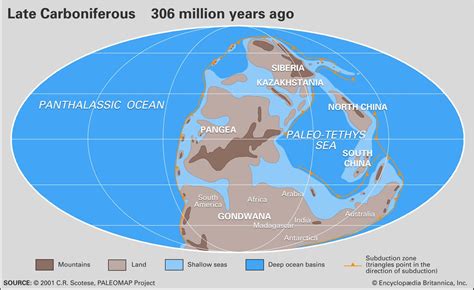 Carboniferous Period - Fossils, Plants, Animals | Britannica