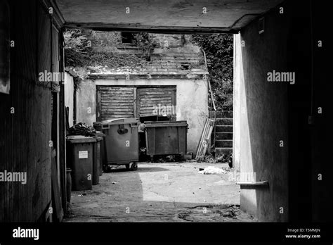 Black Bins Black And White Stock Photos And Images Alamy