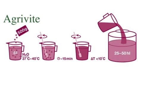 Lieviti Per Vino Fermentazione Enologia Agrivite