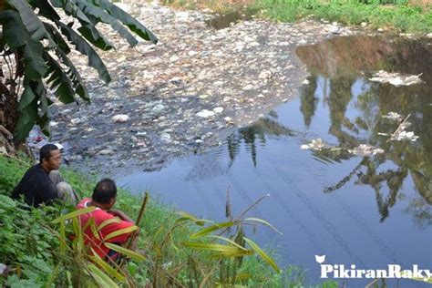 5 Sumber Daya Alam Dan Upaya Pelestarian Sumber Daya Alam Di Sekitarmu