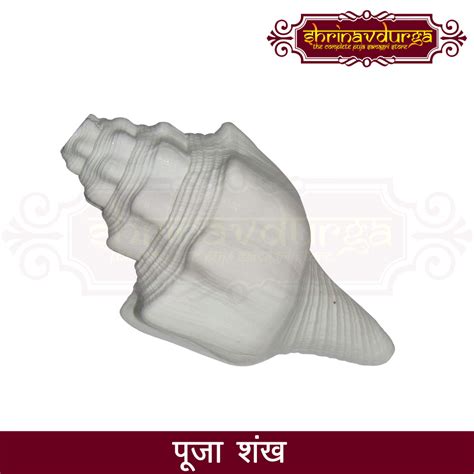Shankh For Pooja Pooja Samagri Store