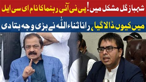 Why Shahbaz Gill Name Placed In ECL Rana Sanaullah Tells Inside Story