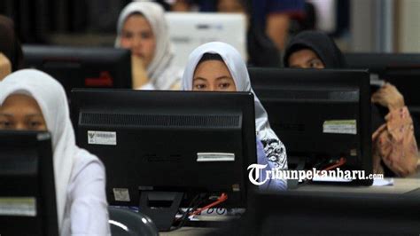 Pengumuman Hasil Seleksi Administrasi CPNS 2019 Kementerian Perhubungan