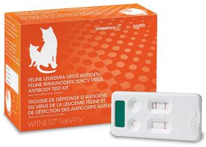 Witness Felv-Fiv Feline Leukemia Antigen Feline Immunodeficiency Virus ...