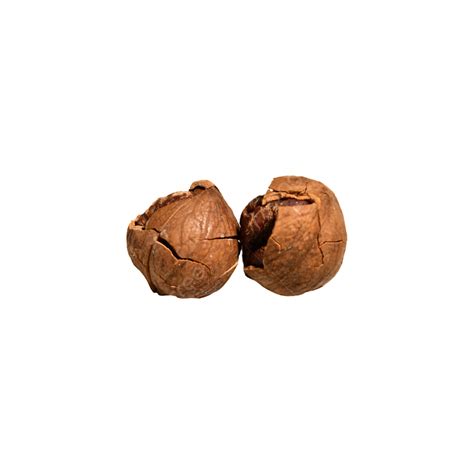 Two Brown Nut Pecans Two Nutrition Dry Fruits Png Transparent Image