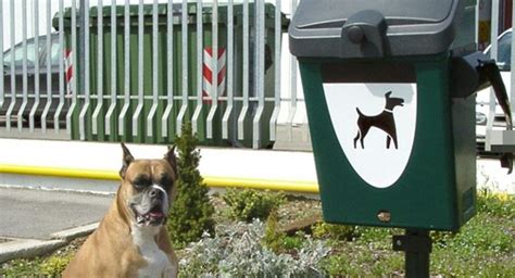 Deiezioni canine sensibilizzare i cosentini Lui è un signore Il