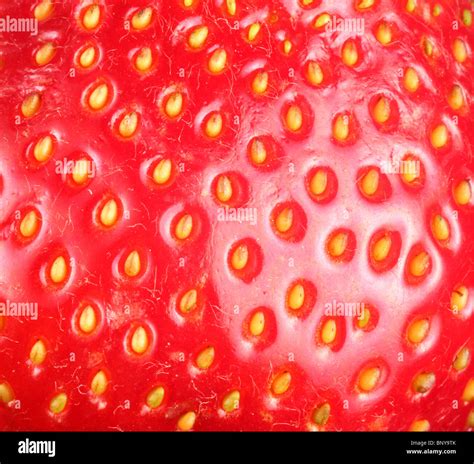 Strawberry Texture Hi Res Stock Photography And Images Alamy