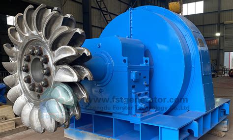 Pelton Turbine Generator At Loretta Burroughs Blog