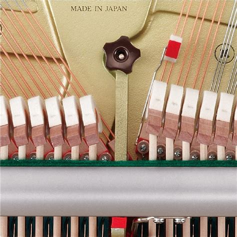 Se Series Descripción Pianos Verticales Pianos Instrumentos