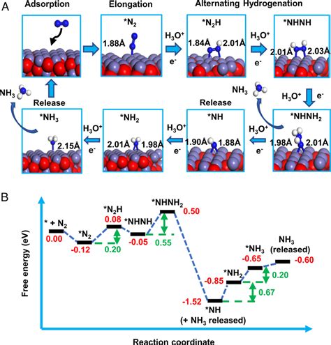 Catalytic Mechanism For Ammonia Formation From N And Water Droplets