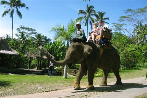 Ubud Elephant Safari Ride Tour Package Bali Shore Excursions