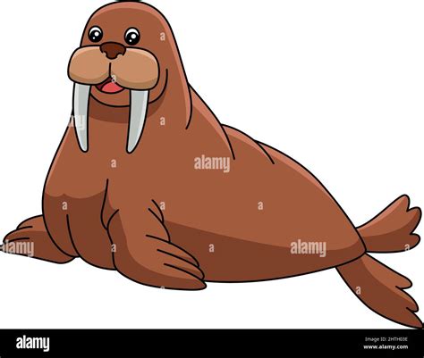 Walrus Cartoon Clipart Animal Illustration Stock Vector Image And Art Alamy