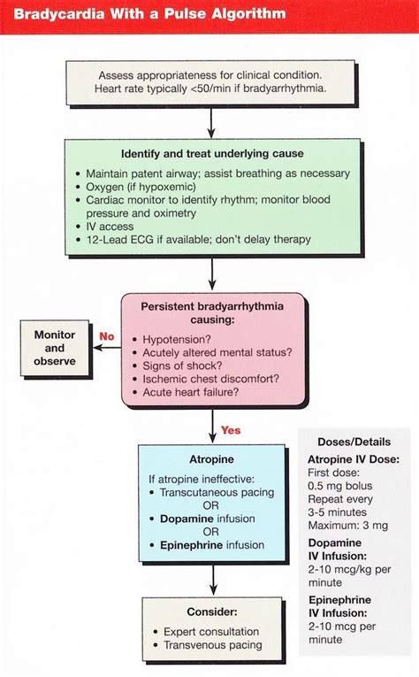 Bradycardia and Syncope