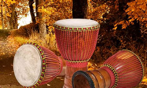 Types Of West African Drums