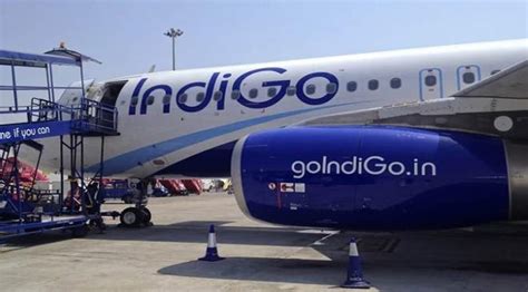 IndiGo Posts Rs 130 Cr Q3 Profit On Higher Passenger Revenues Appoints