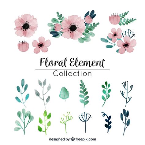 Free Vector Watercolor Floral Element Collection